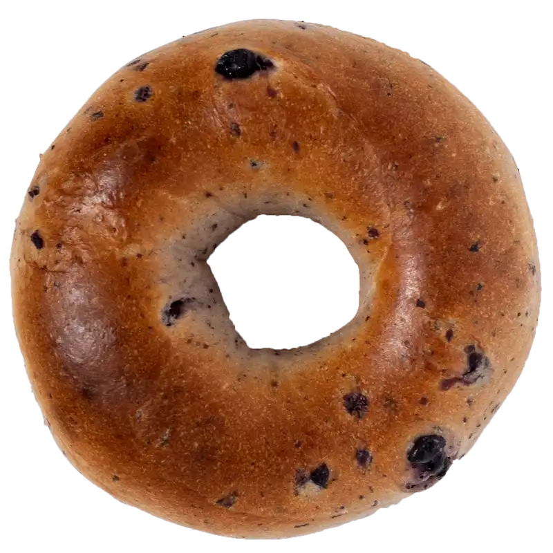 blueberry bagel